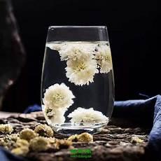 菊花茶的禁忌