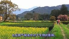 吴伯箫《灯笼》语句赏析