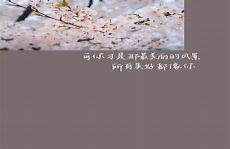 唯美文案长篇